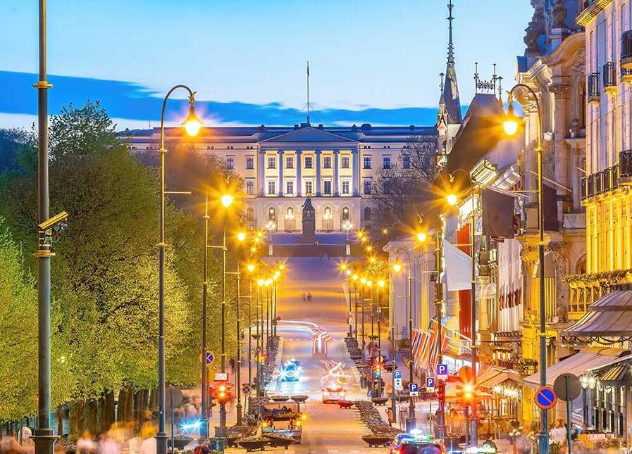 Essential Oslo: A City Center Guided Walking Tour