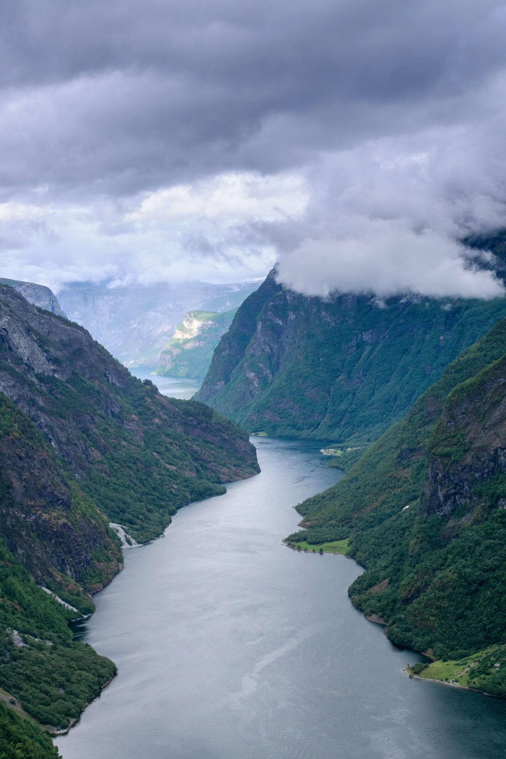 Winding fjord between steep green mountains